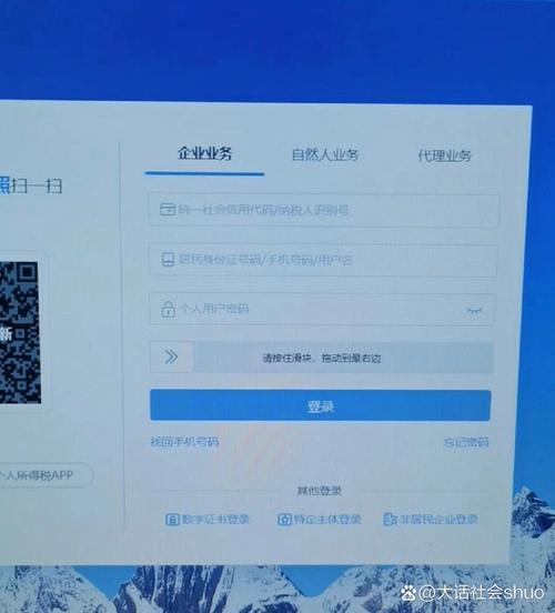 上海电子税务局