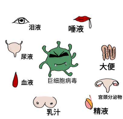 病毒会通过奶水传播吗