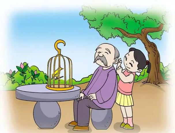 看图专用图
