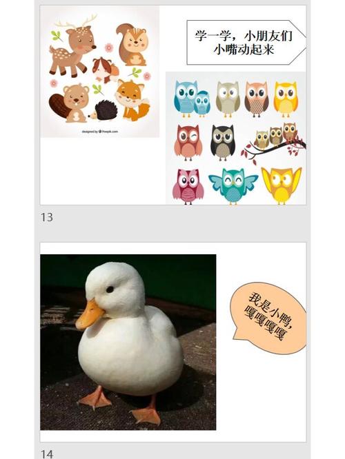 幼儿园小班动物园教案截图3