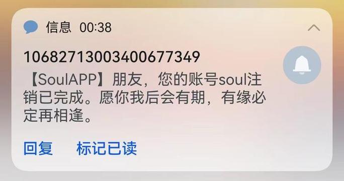 soul注销了可以重新注册吗