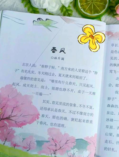 春风人面小桃红免费阅读