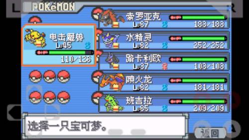 口袋妖怪白金宠物推荐