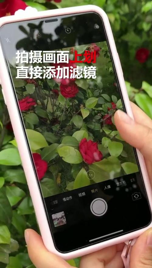 手机相机拍照为什么变成横的
