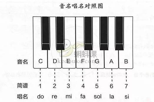 50个音符是多少钱