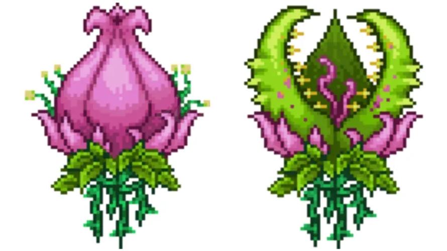 泰拉瑞亚世界之花