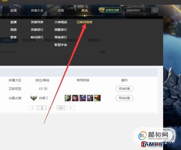 wegame网页版查询战绩