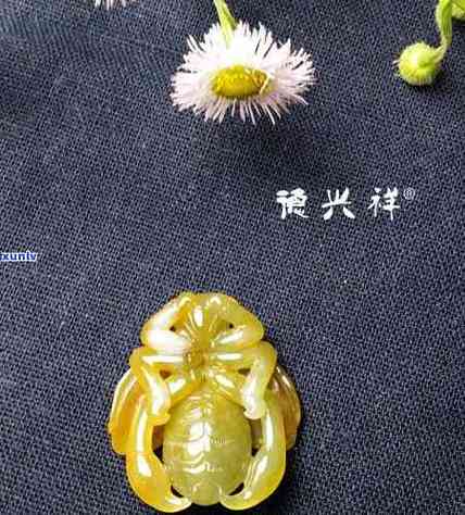 佩戴蜜蜂饰品的寓意