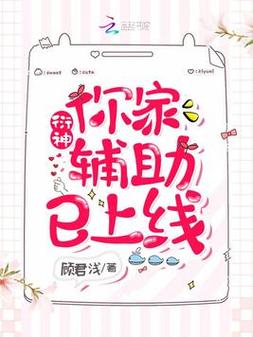衍神,你家辅助已上线免费阅读