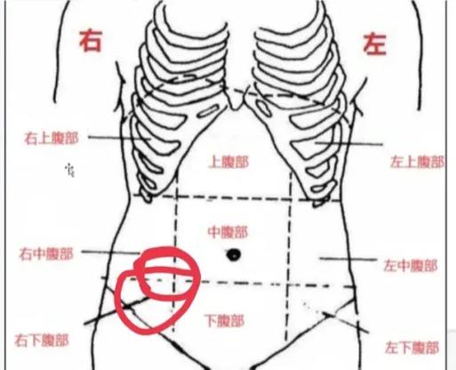 肚子右边疼是怎么回事