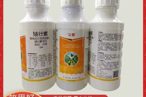小麦控旺用矮壮素多少效果好