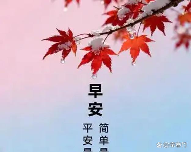 70-80岁老人养老