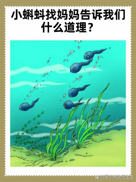 小乌龟找妈妈故事截图2