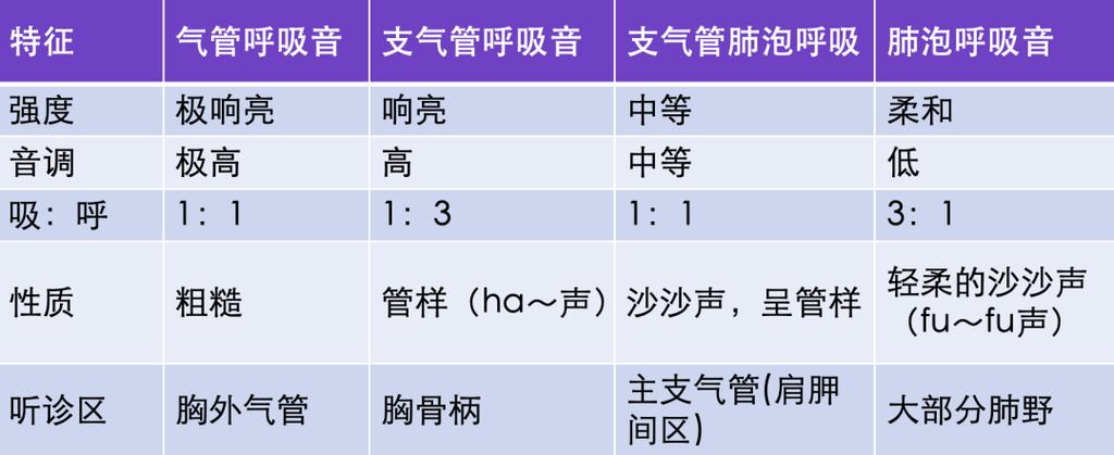 小儿喘鸣音在线试听截图2