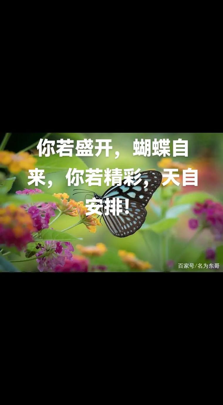 你若花开蝴蝶自来下句