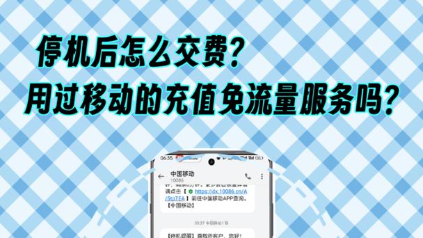 移动优酷免流量什么意思