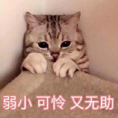 可怜的表情包图片截图2