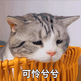 可怜的表情包图片截图3