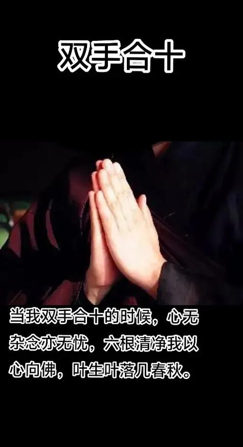 3个合十是什么意思截图3