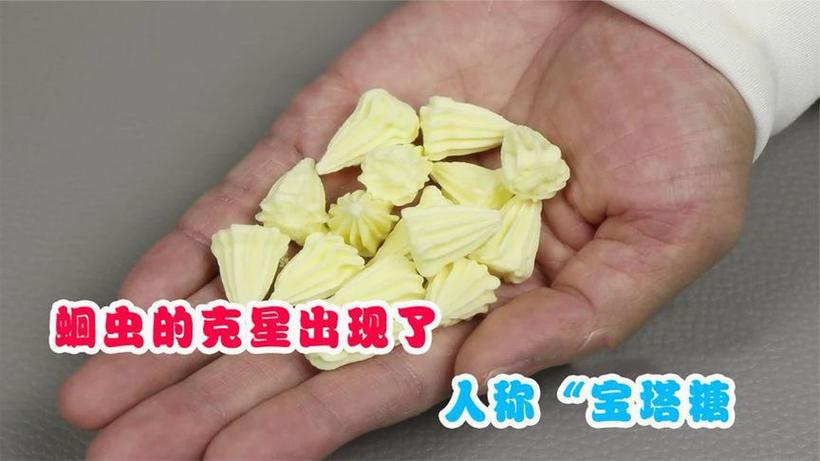 蛔虫吃宝塔糖有用吗