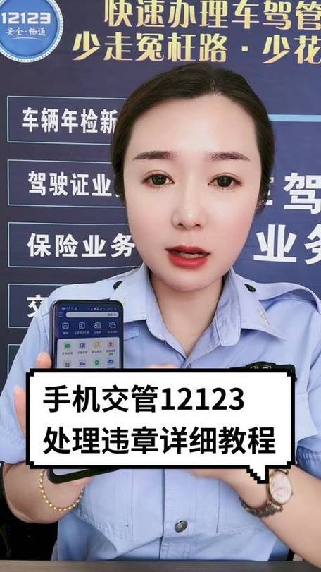 手机查违章