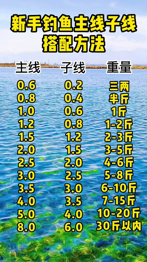 钓鱼主线和子线怎么搭配