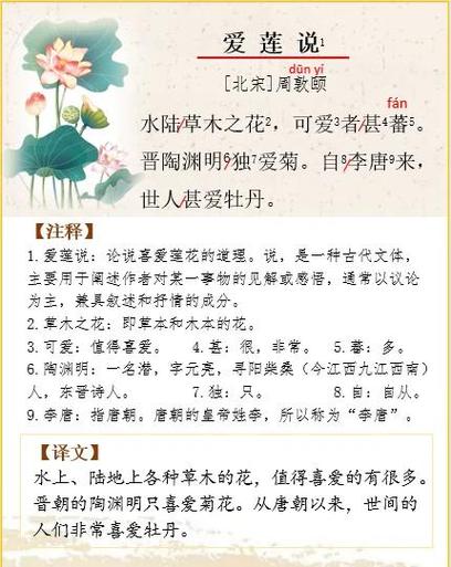 春日节奏划分