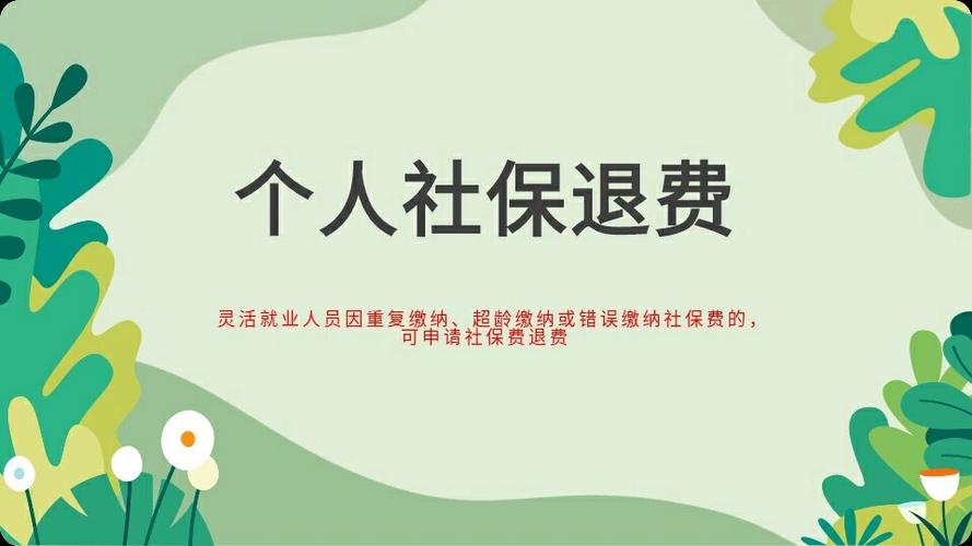 个人交的养老保险能全额退吗