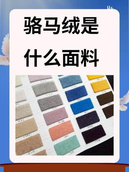 毛衣最建议买的三种面料