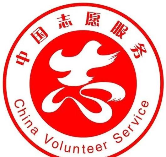中国志愿者网官网入口