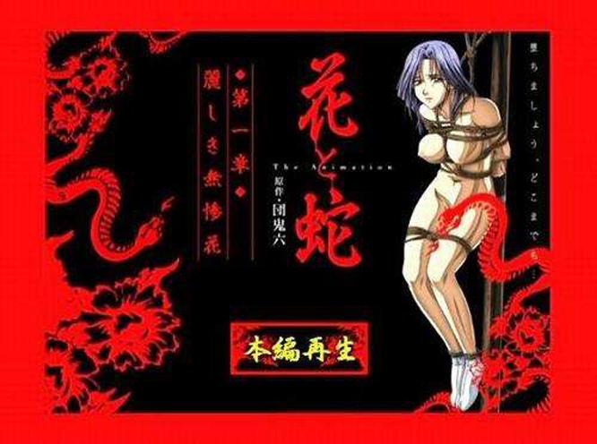 花与蛇app安装截图3