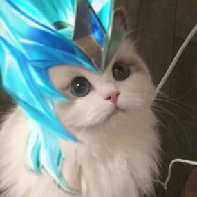 王者英雄澜小猫头像也有技能