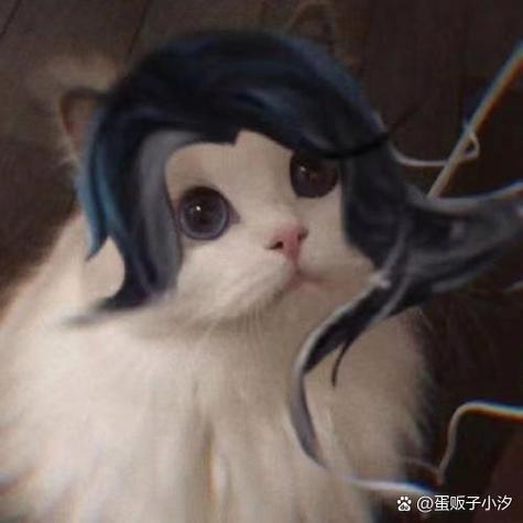 王者英雄澜小猫头像也有技能截图2