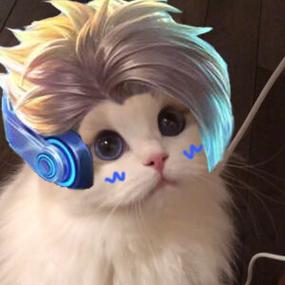 王者英雄澜小猫头像也有技能截图3