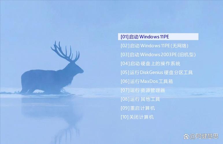 firPE_v.9.1.img