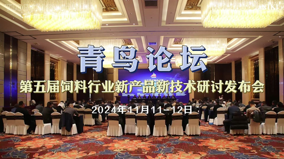 青鸟论坛关了吗截图2