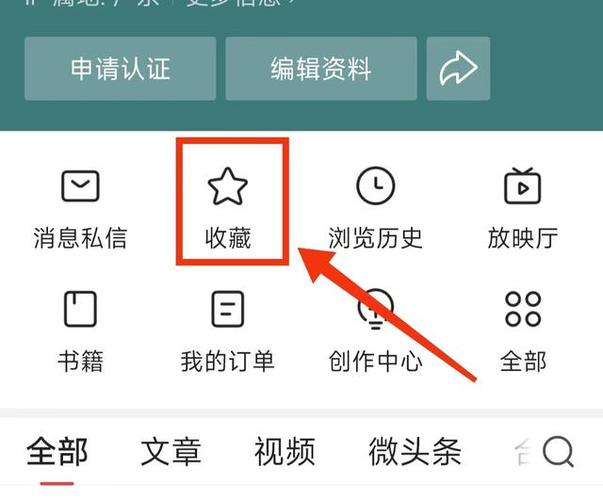 从头条里收藏的文章在哪里找到