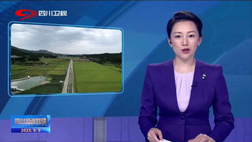 绵阳新闻联播在线观看