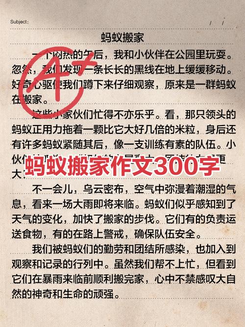 《把大象搬进蚂蚁窝》读后感