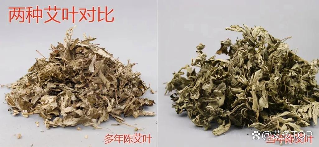 艾叶年久能失效吗