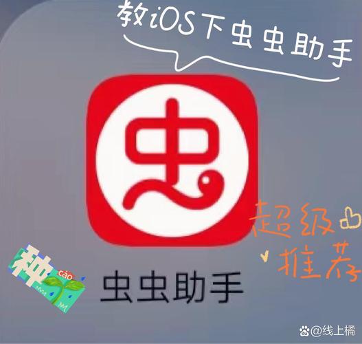 成版人直播APP破解版虫虫