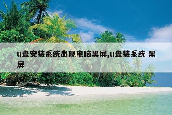 pe加载完毕后就黑屏