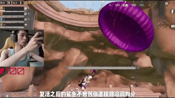 鲨鱼度假岛和平精英