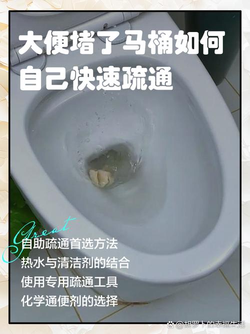 带电机的马桶堵住了咋弄截图2