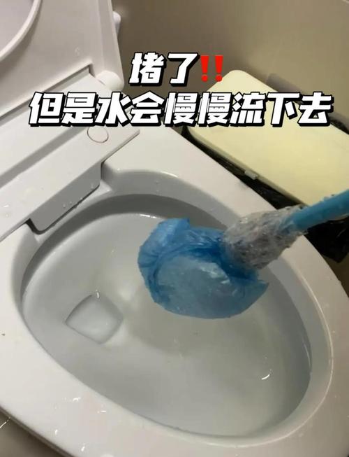 带电机的马桶堵住了咋弄截图3