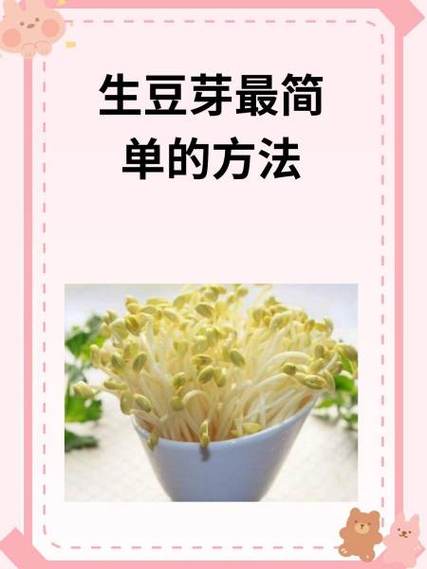 家庭生绿豆芽最简单做法
