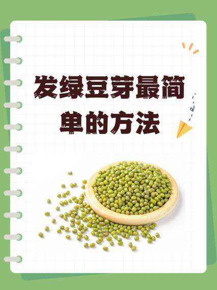 家庭生绿豆芽最简单做法截图2
