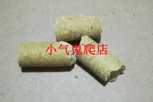 小仓鼠怀孕粮食