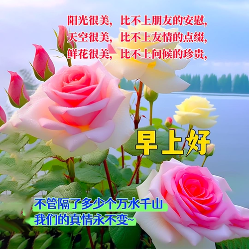 心意满满的祝福语