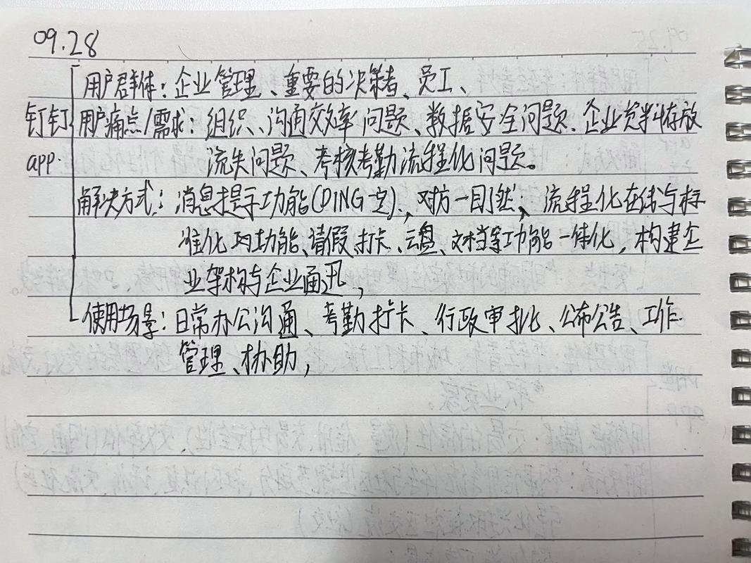 海鸥观后感